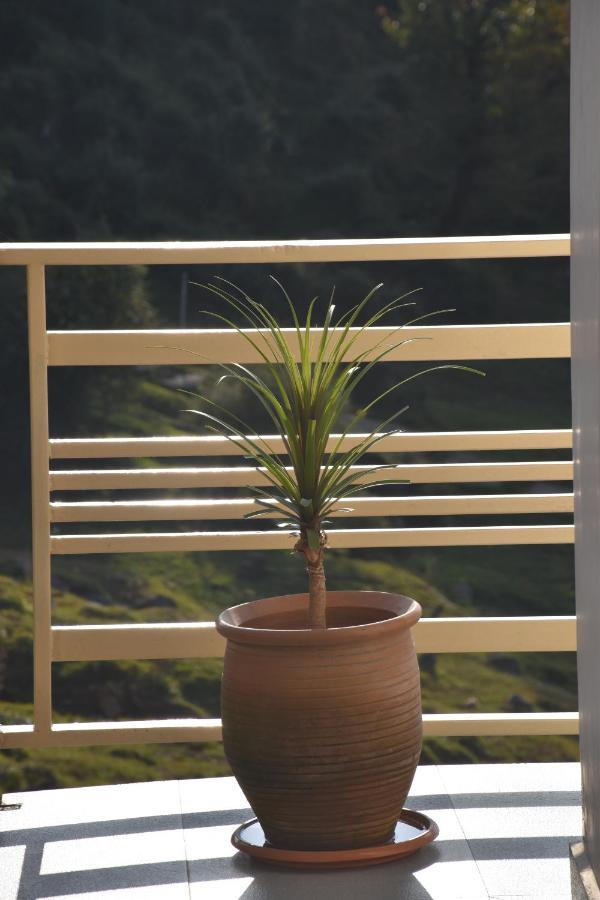 Jot Eco Boutique Stays Νταραμσάλα Εξωτερικό φωτογραφία